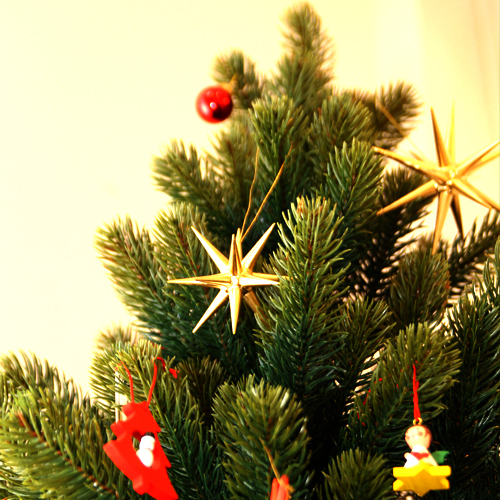 クリスマスツリー「195cm」　PLASTIFLOR/プラスティフロアー(RS GLOBALTRADE社)